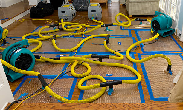 Professional Crawl Space Water Removal technician working in Roggen, CO